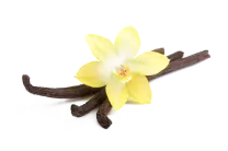 flor de vainilla