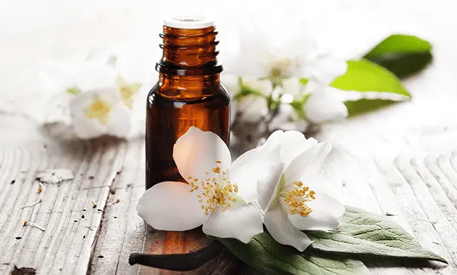 La vainilla, esencia favorita en la perfumería