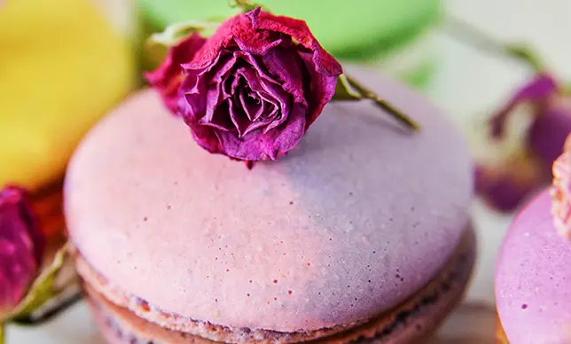 Conoce 6 tendencias de postres para el 2019.