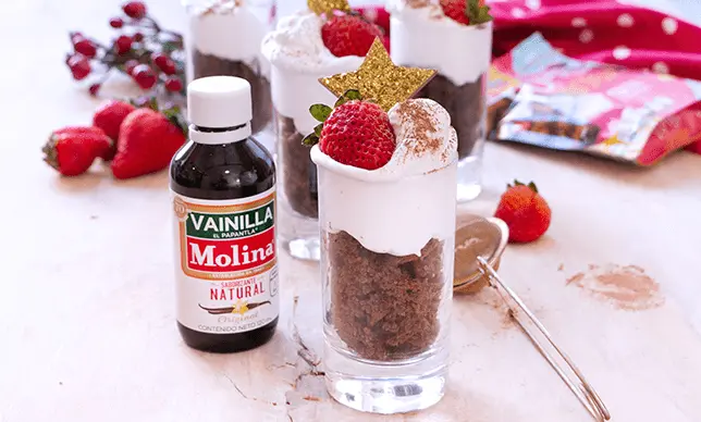 Regalos para Navidad con sabor a Vainilla Molina