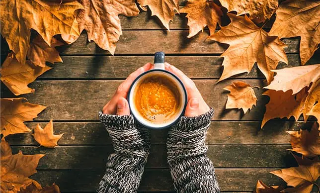 ¡Bebidas calientitas para un feliz otoño!